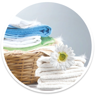 linge1
